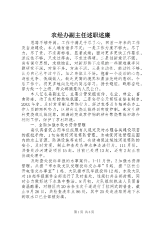 农经办副主任述职述廉