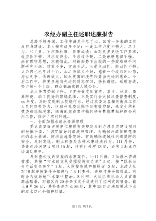 农经办副主任述职述廉报告