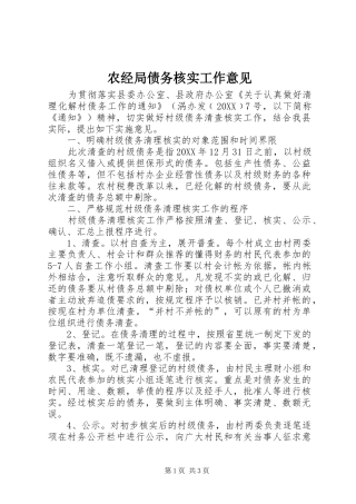 农经局债务核实工作意见