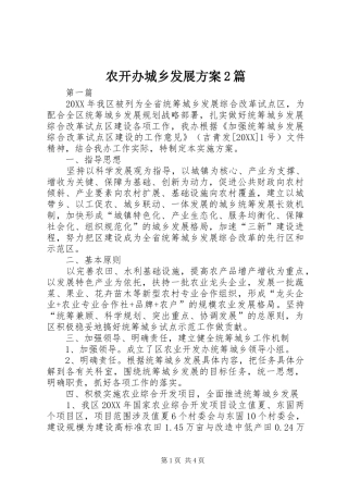 农开办城乡发展方案篇