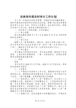 农林局年度农村审计工作计划