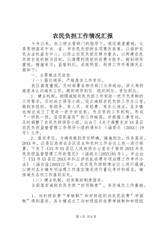 农民负担工作情况汇报