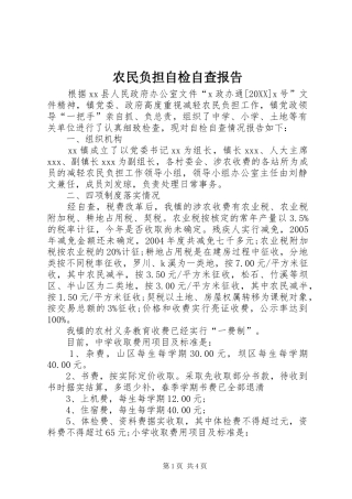 农民负担自检自查报告