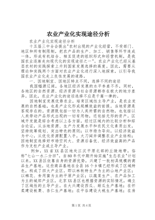 农业产业化实现途径分析