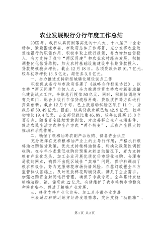 农业发展银行分行年度工作总结