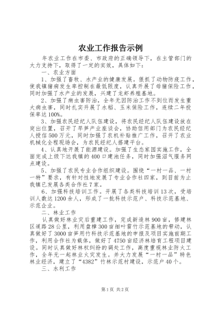 农业工作报告示例