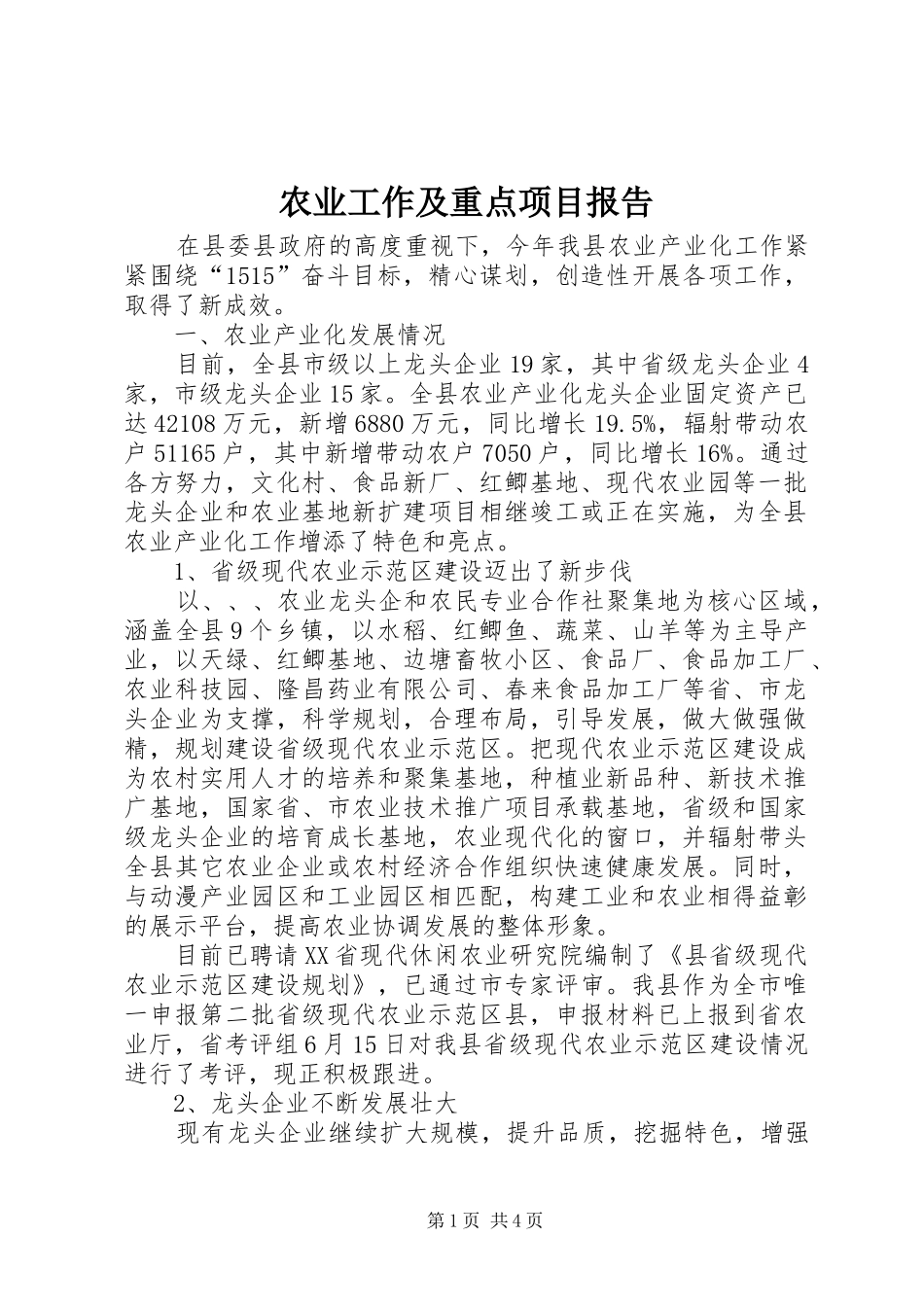 农业工作及重点项目报告_第1页