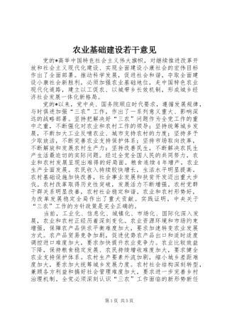 农业基础建设若干意见