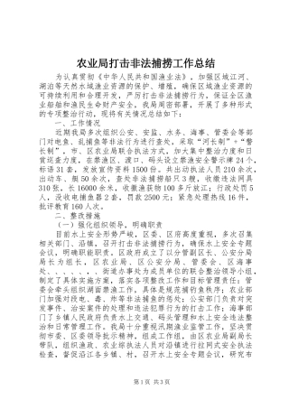 农业局打击非法捕捞工作总结