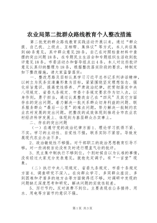 农业局第二批群众路线教育个人整改措施