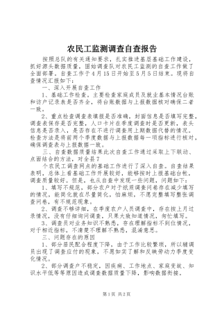 农民工监测调查自查报告