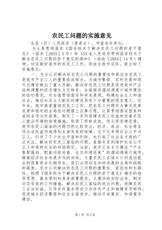 农民工问题的实施意见