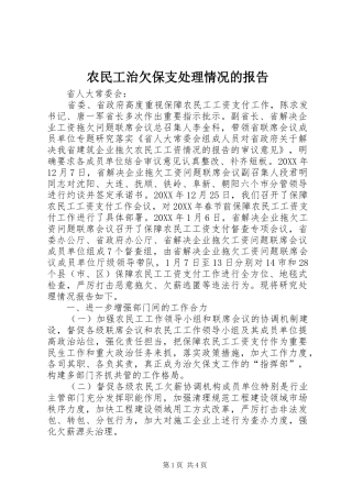 农民工治欠保支处理情况的报告