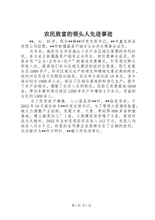 农民致富的领头人先进事迹