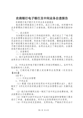 农商银行电子银行及中间业务自查报告