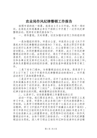 农业局作风纪律整顿工作报告