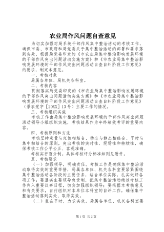 农业局作风问题自查意见