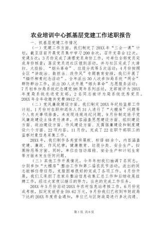 农业培训中心抓基层党建工作述职报告
