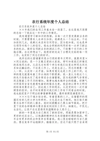农行系统年度个人总结