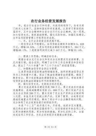 农行业务经营发展报告