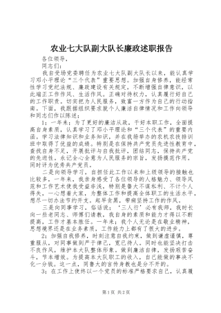 农业七大队副大队长廉政述职报告