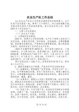 农业生产队工作总结