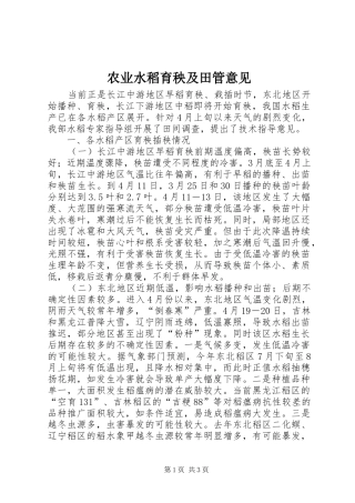 农业水稻育秧及田管意见