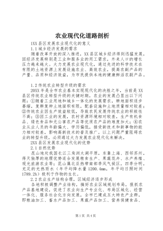 农业现代化道路剖析