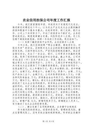 农业信用担保公司年度工作汇报