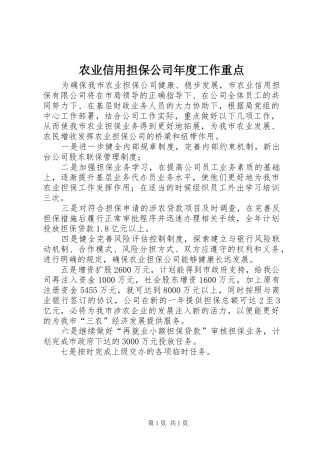 农业信用担保公司年度工作重点