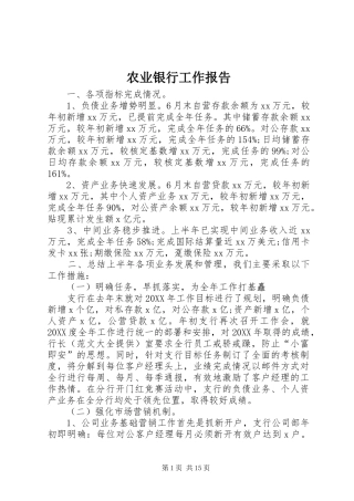 农业银行工作报告