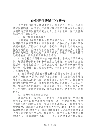 农业银行践诺工作报告