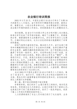 农业银行培训简报