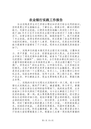农业银行实践工作报告