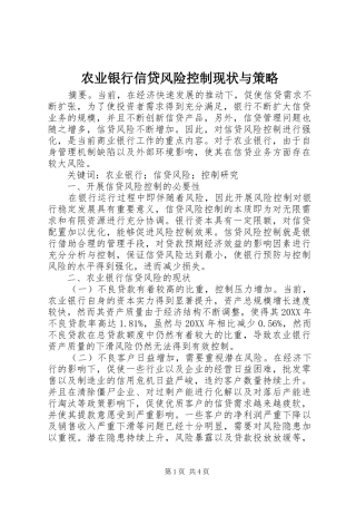 农业银行信贷风险控制现状与策略