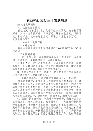 农业银行支行三年发展规划
