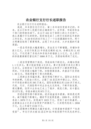 农业银行支行行长述职报告