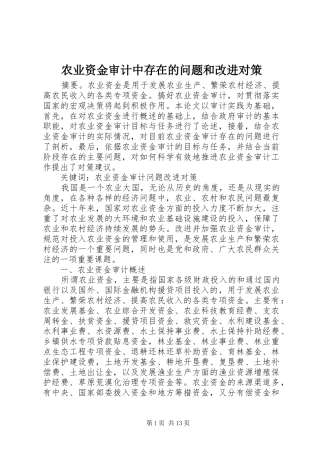 农业资金审计中存在的问题和改进对策