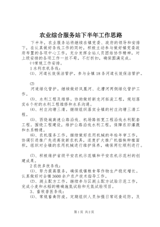 农业综合服务站下半年工作思路