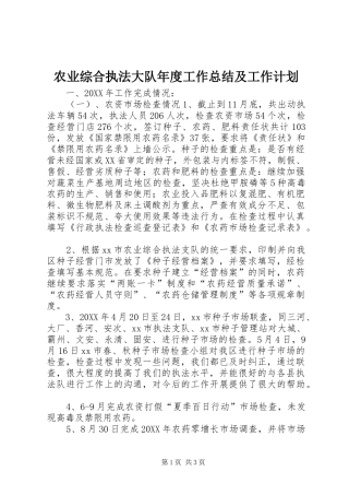 农业综合执法大队年度工作总结及工作计划