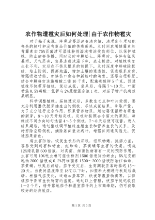 农作物遭雹灾后如何处理由于农作物雹灾