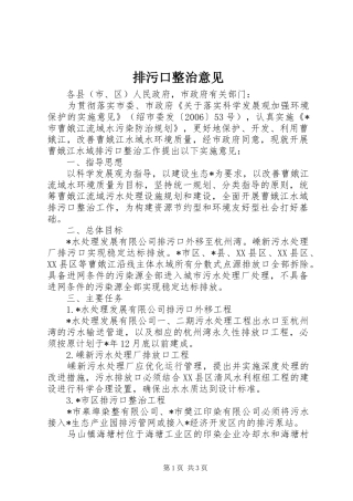 排污口整治意见