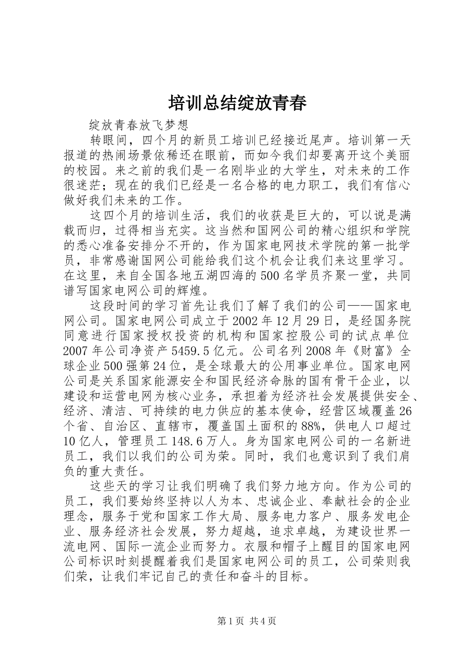 培训总结绽放青春_第1页