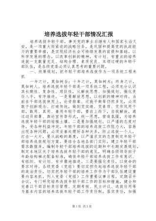 培养选拔年轻干部情况汇报