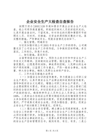 企业安全生产大检查自查报告
