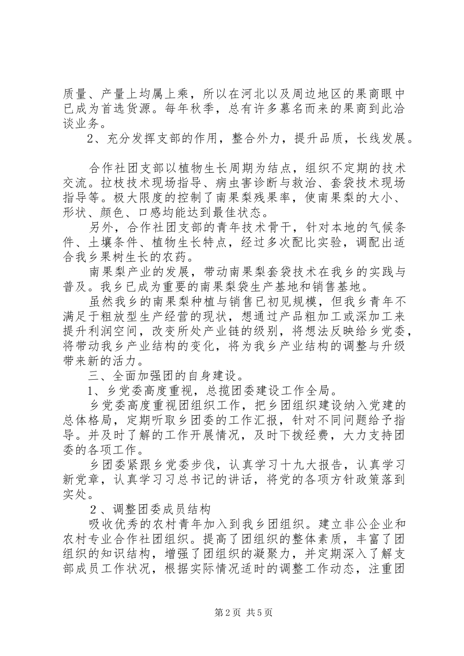 平安村乡共青团工作总结_第2页