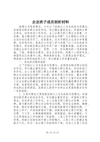 企业班子成员剖析材料