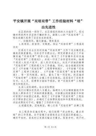 平安镇开展双培双带工作经验材料培出先进性