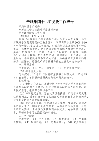平煤集团十二矿党委工作报告