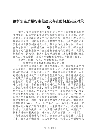 剖析安全质量标准化建设存在的问题及应对策略